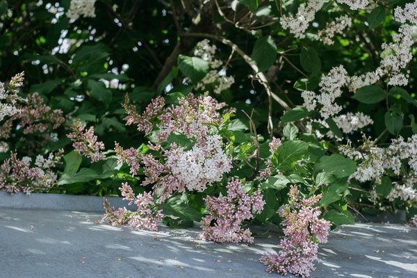 Tableaux de prénoms uniques : commandez vos toiles personnalisées